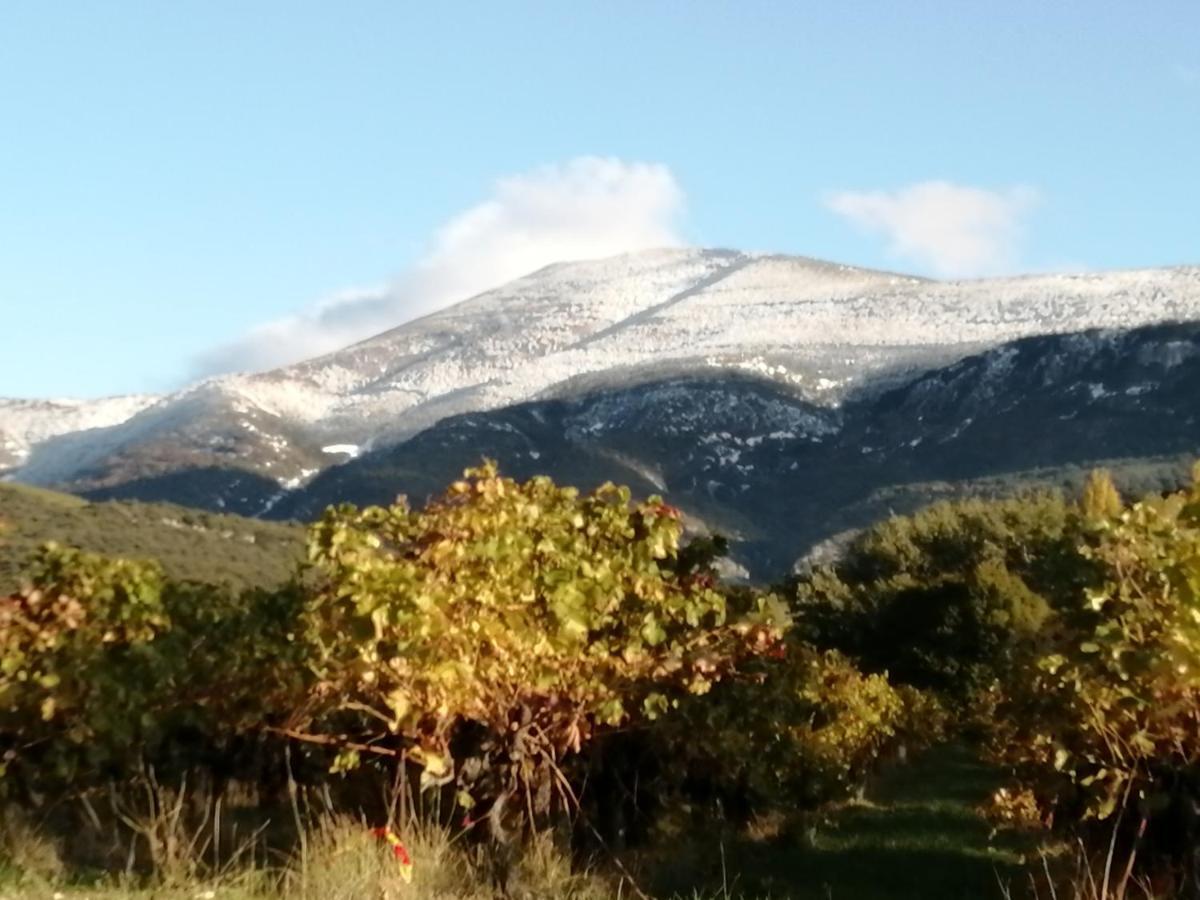 Le Petit Ventoux Village Malaucène Dış mekan fotoğraf